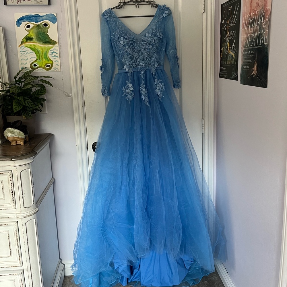 Blue Floral Embroidered Ballgown 💙